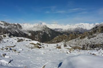 Sfoglia la galleria